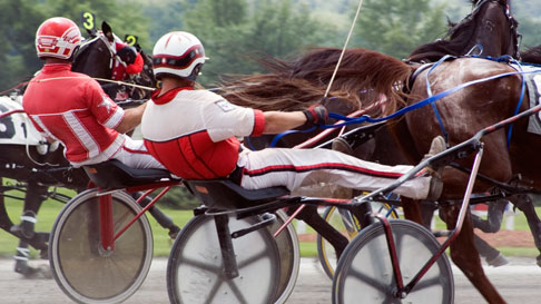 Harness racing horses with jockeys