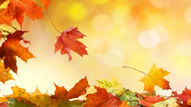 Autumn Hot Deat