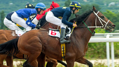 horse racing